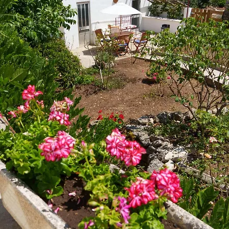 Casa Alba - Alvados