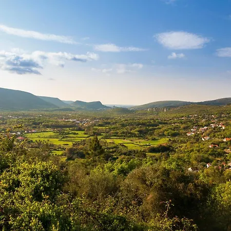 Holiday home Casa Alba - Alvados